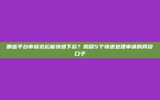 哪些平台审核宽松能快速下款？揭晓5个快速处理申请的网贷口子