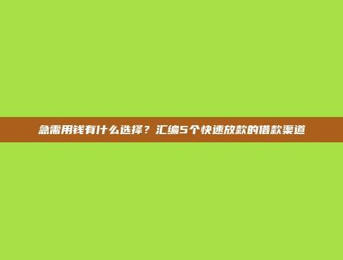 急需用钱有什么选择？汇编5个快速放款的借款渠道