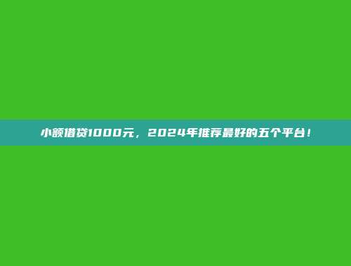 小额借贷1000元，2024年推荐最好的五个平台！