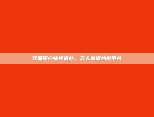 双黑用户快速借款，无大数据秒批平台