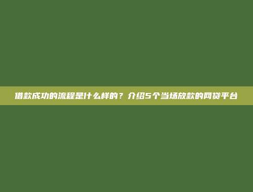 借款成功的流程是什么样的？介绍5个当场放款的网贷平台