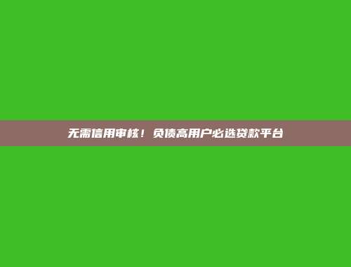 无需信用审核！负债高用户必选贷款平台