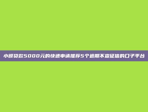 小额贷款5000元的快速申请推荐5个逾期不查征信的口子平台