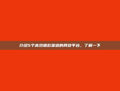 介绍5个高效借款渠道的网贷平台，了解一下