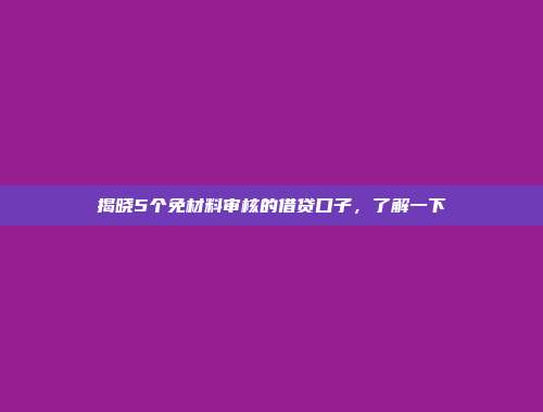 揭晓5个免材料审核的借贷口子，了解一下