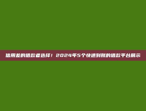 信用差的借款者选择！2024年5个快速到账的借款平台展示