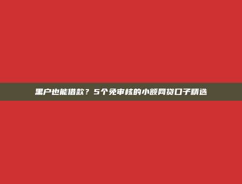 黑户也能借款？5个免审核的小额网贷口子精选