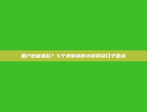 黑户也能借款？5个免审核的小额网贷口子盘点