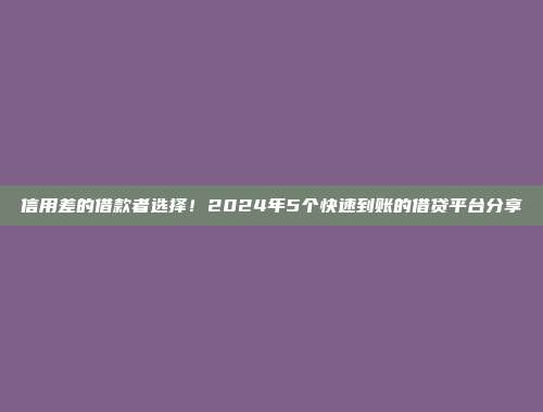 信用差的借款者选择！2024年5个快速到账的借贷平台分享