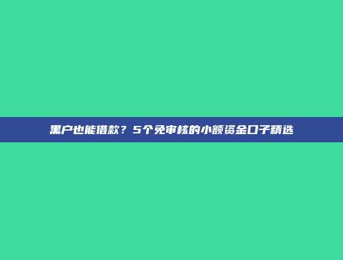 黑户也能借款？5个免审核的小额资金口子精选