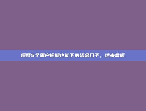 揭晓5个黑户逾期也能下的资金口子，速来掌握