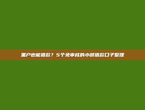 黑户也能借款？5个免审核的小额借款口子整理