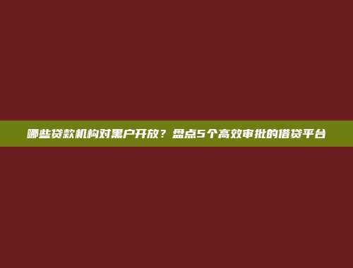 哪些贷款机构对黑户开放？盘点5个高效审批的借贷平台