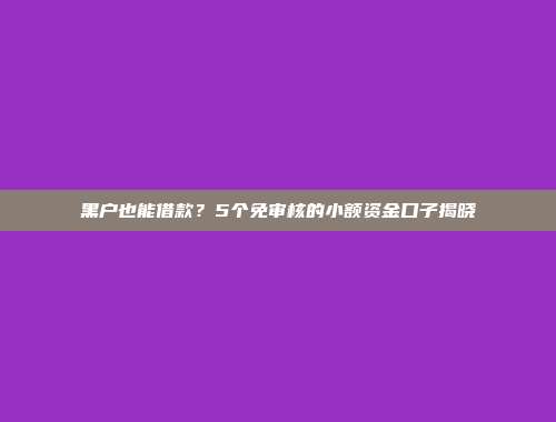 黑户也能借款？5个免审核的小额资金口子揭晓