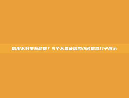 信用不好依然能借？5个不查征信的小额借贷口子展示