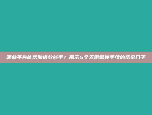 哪些平台能帮助借款新手？展示5个无需繁琐手续的资金口子