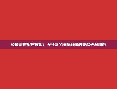 负债高的用户良机！今年5个便捷到账的贷款平台揭晓