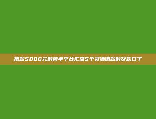 借款5000元的简单平台汇总5个灵活借款的贷款口子