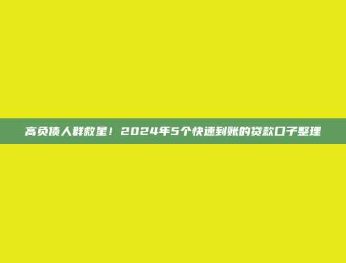 高负债人群救星！2024年5个快速到账的贷款口子整理