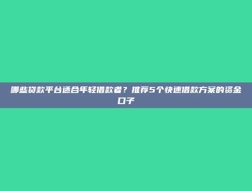 哪些贷款平台适合年轻借款者？推荐5个快速借款方案的资金口子