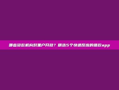 哪些贷款机构对黑户开放？精选5个快速反应的借款app