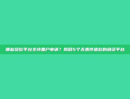 哪些贷款平台支持黑户申请？揭晓5个无条件借款的融资平台