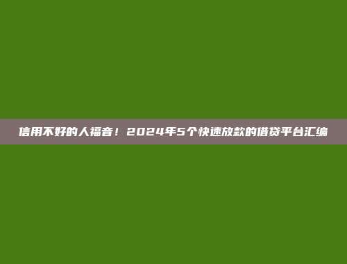 信用不好的人福音！2024年5个快速放款的借贷平台汇编