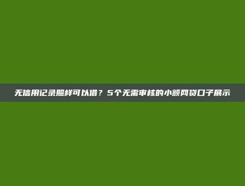 无信用记录照样可以借？5个无需审核的小额网贷口子展示