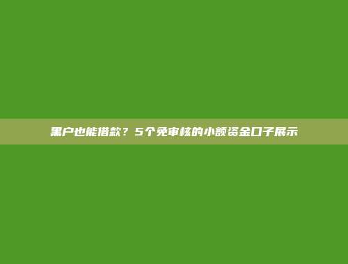 黑户也能借款？5个免审核的小额资金口子展示