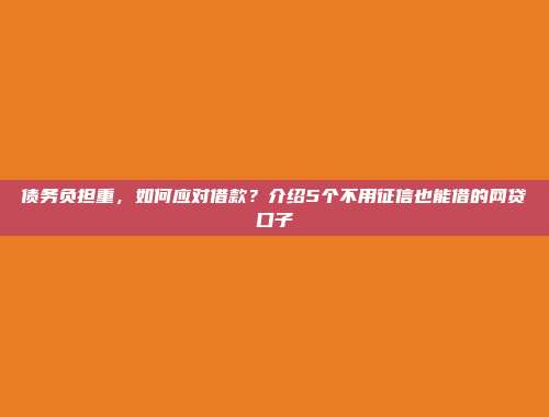 债务负担重，如何应对借款？介绍5个不用征信也能借的网贷口子