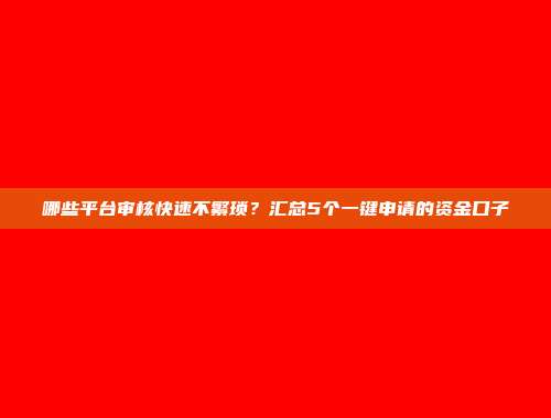 哪些平台审核快速不繁琐？汇总5个一键申请的资金口子