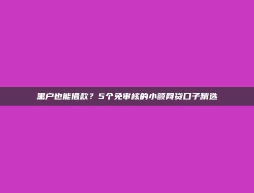 黑户也能借款？5个免审核的小额网贷口子精选