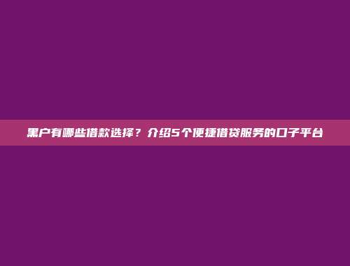 黑户有哪些借款选择？介绍5个便捷借贷服务的口子平台